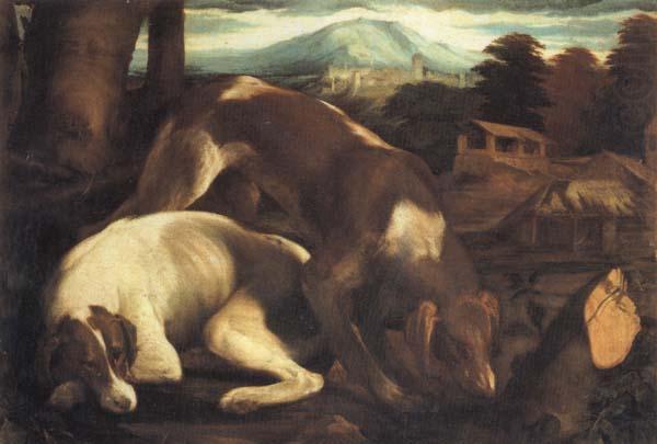 Jacopo Bassano Two Dogs china oil painting image